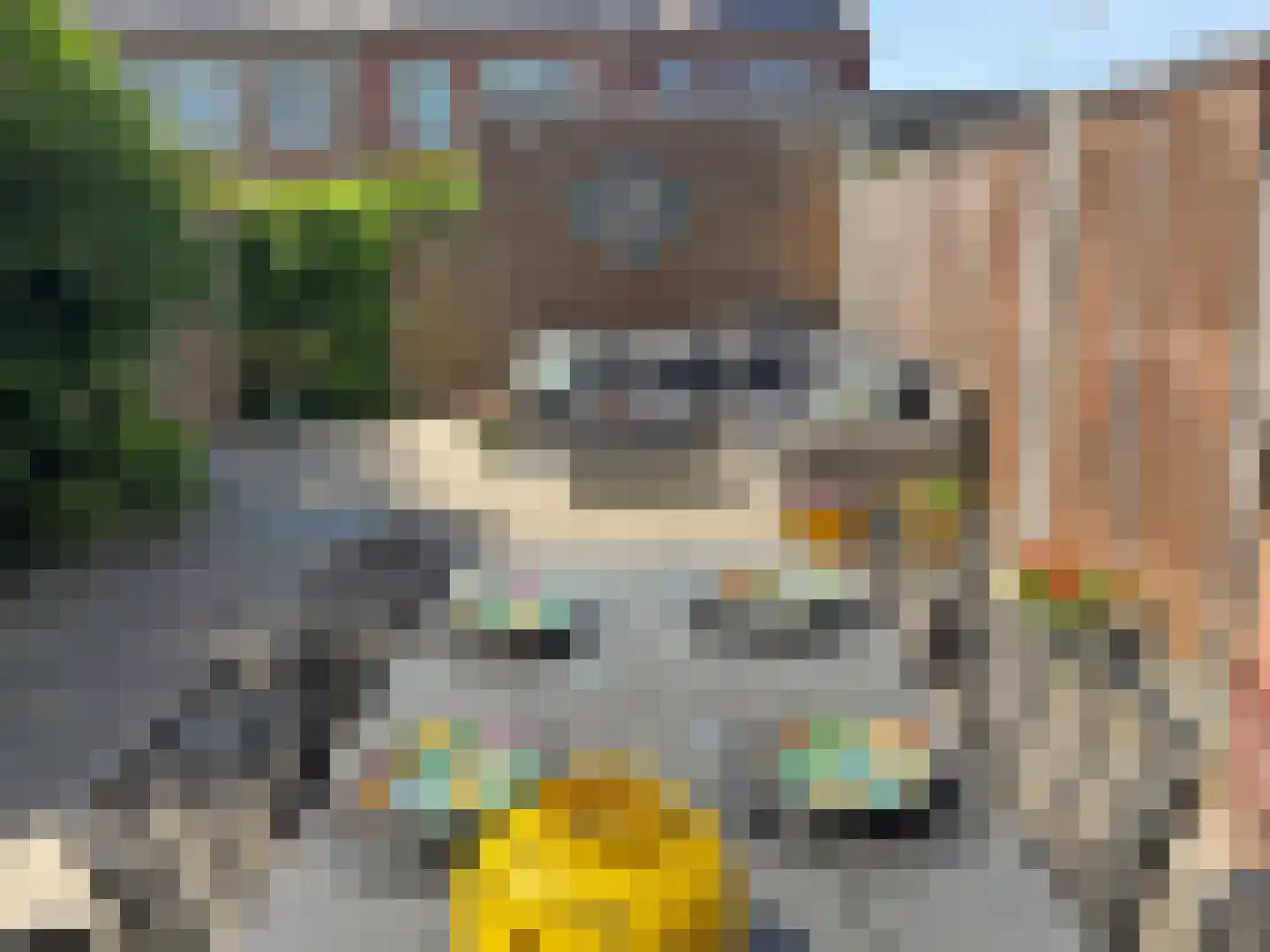 Baas en Domburgstraat 61 Bodegraven thumbnail 30