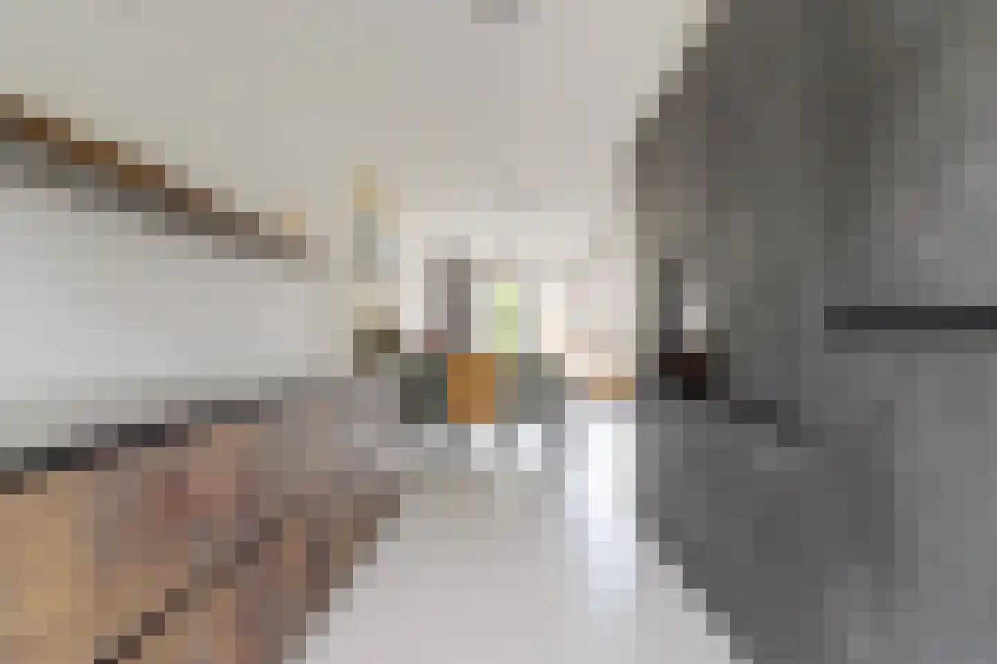 Baas en Domburgstraat 61 Bodegraven thumbnail 5