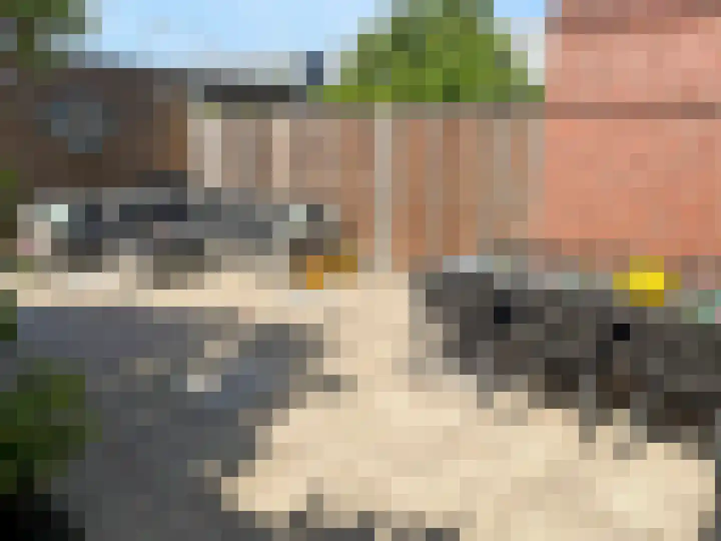 Baas en Domburgstraat 61 Bodegraven thumbnail 8