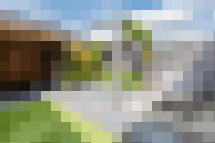 Baas en Domburgstraat 85 Bodegraven thumbnail 5