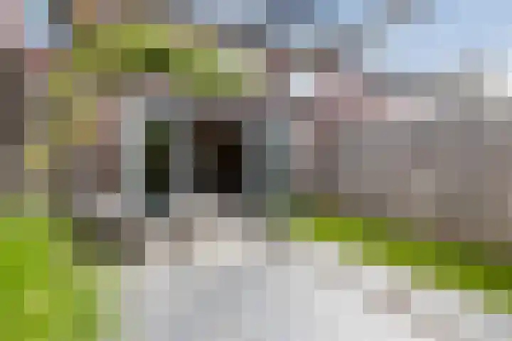 Baas en Domburgstraat 85 Bodegraven thumbnail 50