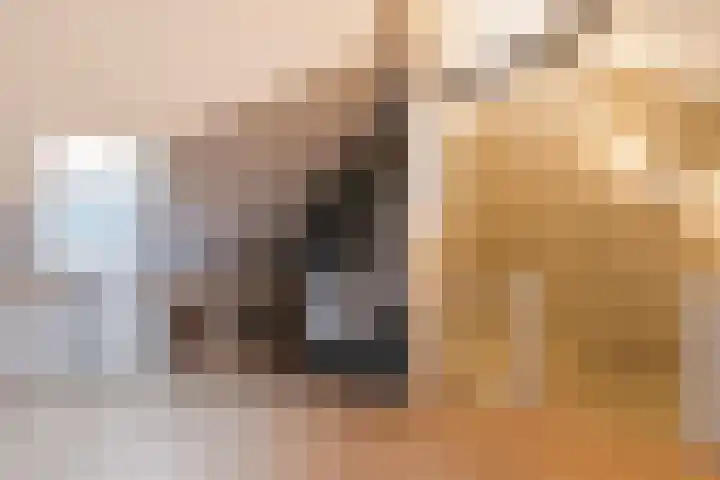 Baas en Domburgstraat 97 Bodegraven thumbnail 33