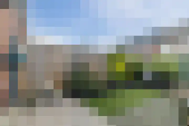 Baas en Domburgstraat 97 Bodegraven thumbnail 36