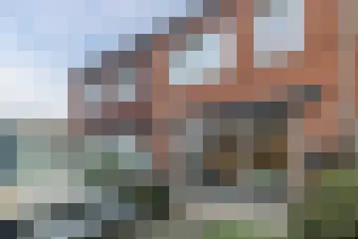 Baas en Domburgstraat 97 Bodegraven thumbnail 40