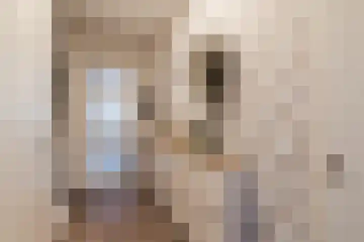 Baas en Domburgstraat 97 Bodegraven thumbnail 9
