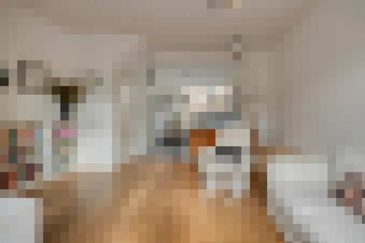 Baatstraat 15 Leiden thumbnail 10