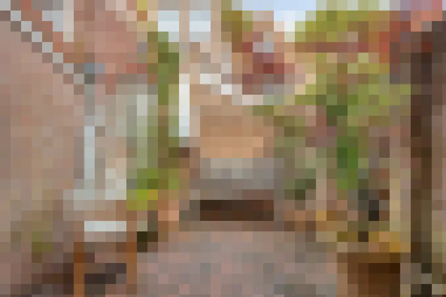 Baatstraat 15 Leiden thumbnail 23