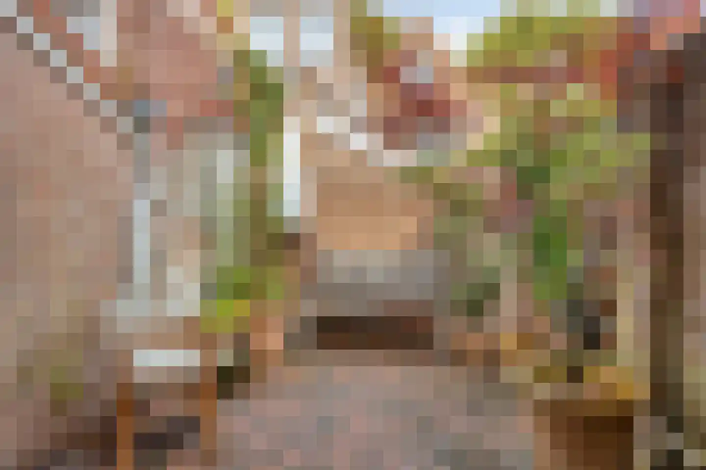 Baatstraat 15 Leiden thumbnail 5