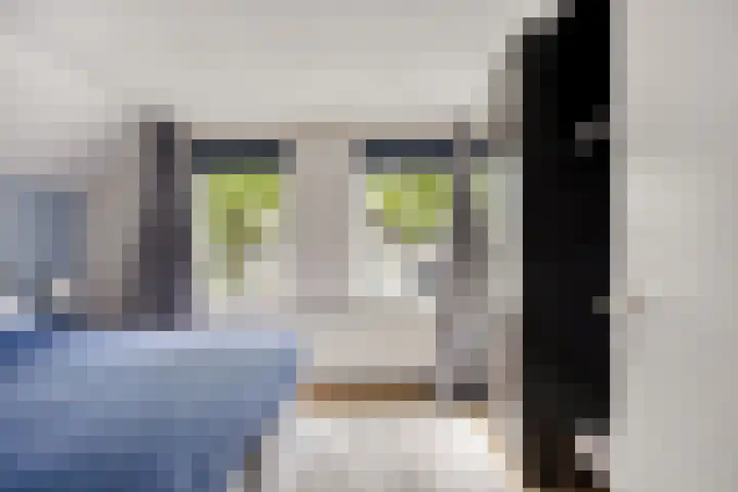 Baayewei 10 Bavel thumbnail 29