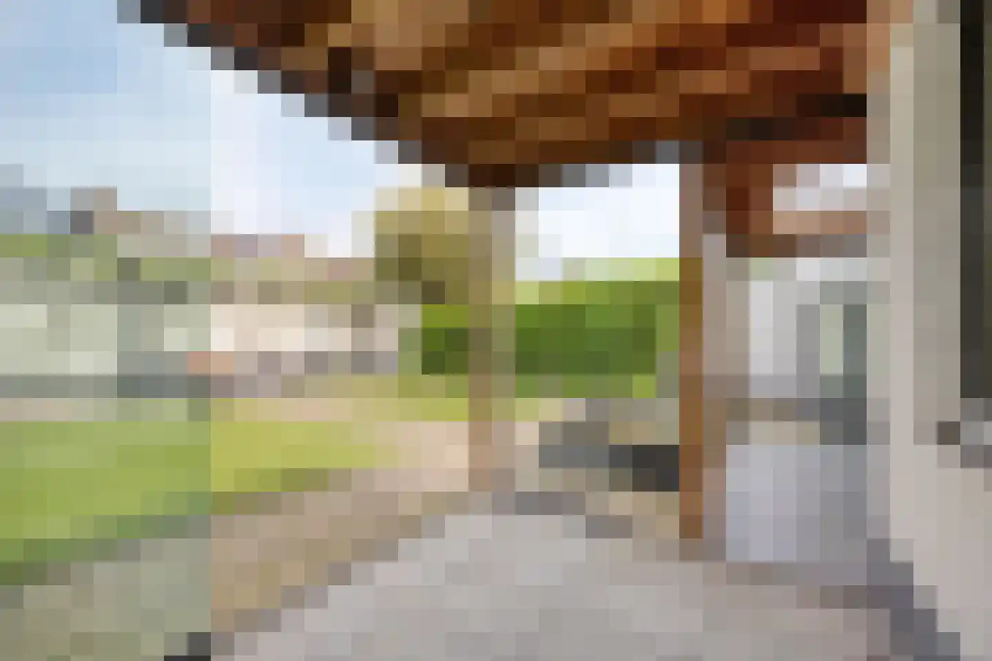 Baayewei 10 Bavel foto 3