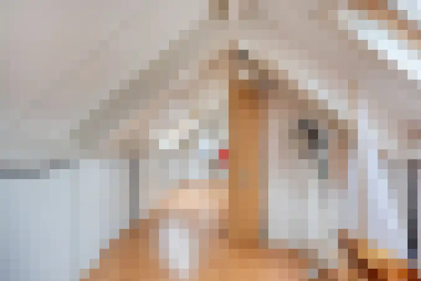 Baayewei 10 Bavel thumbnail 40