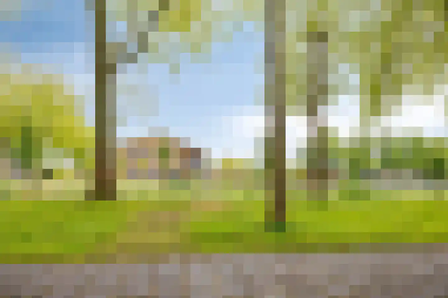 Baayewei 10 Bavel thumbnail 49