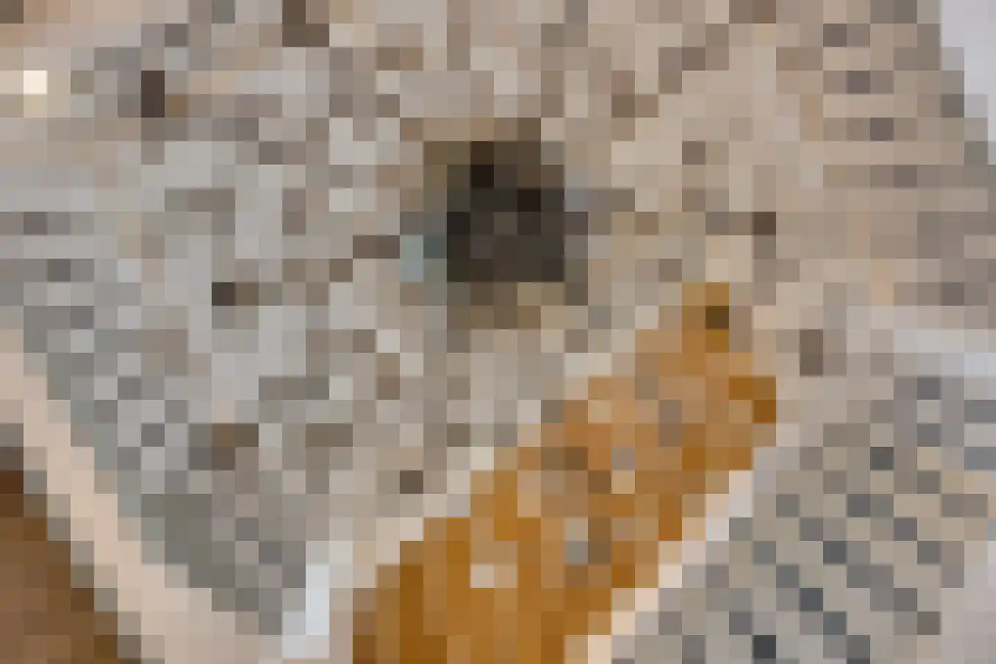 Bab van Garderenstraat 1 Leusden thumbnail 22