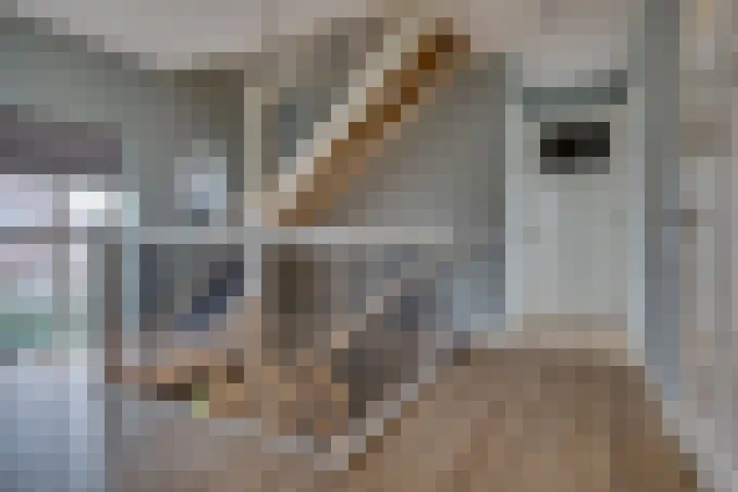 Bab van Garderenstraat 1 Leusden thumbnail 26