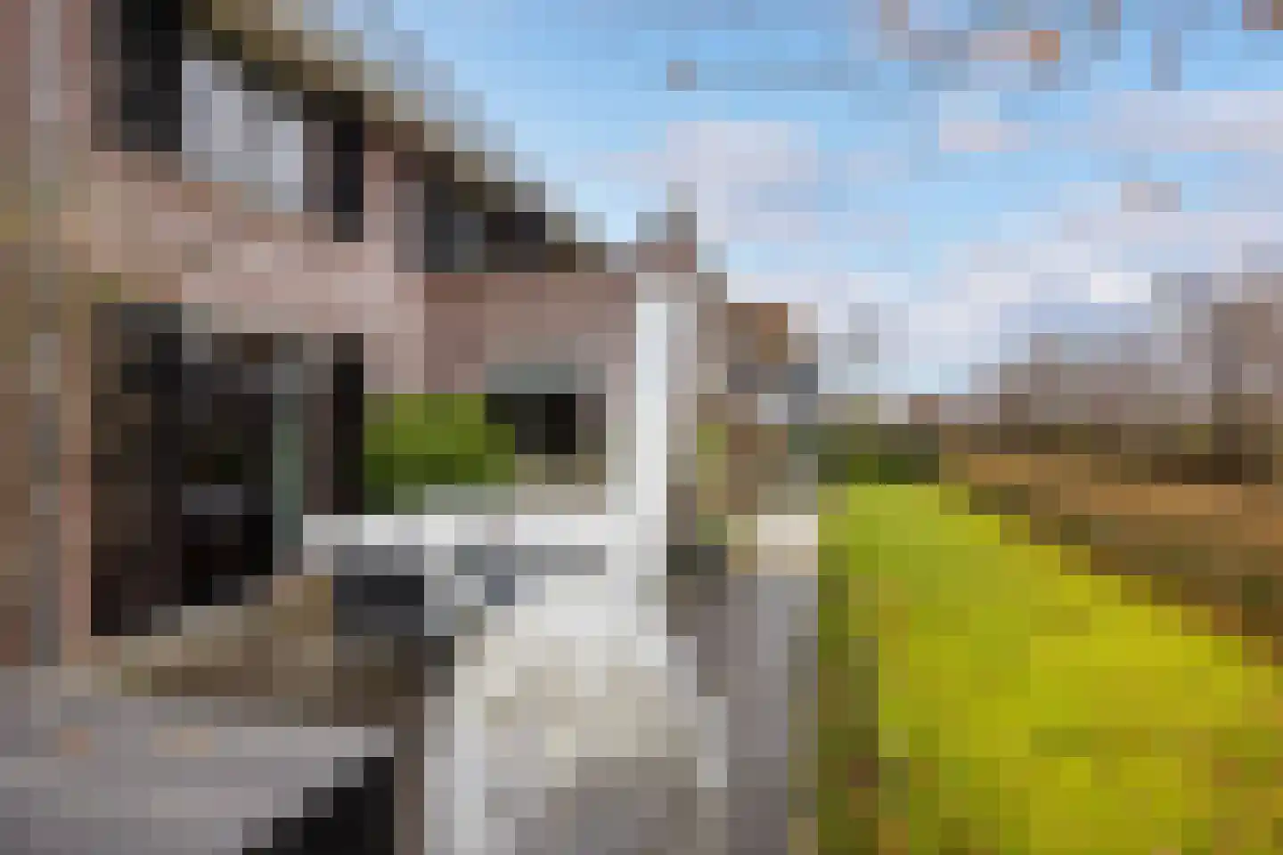 Bab van Garderenstraat 1 Leusden thumbnail 42