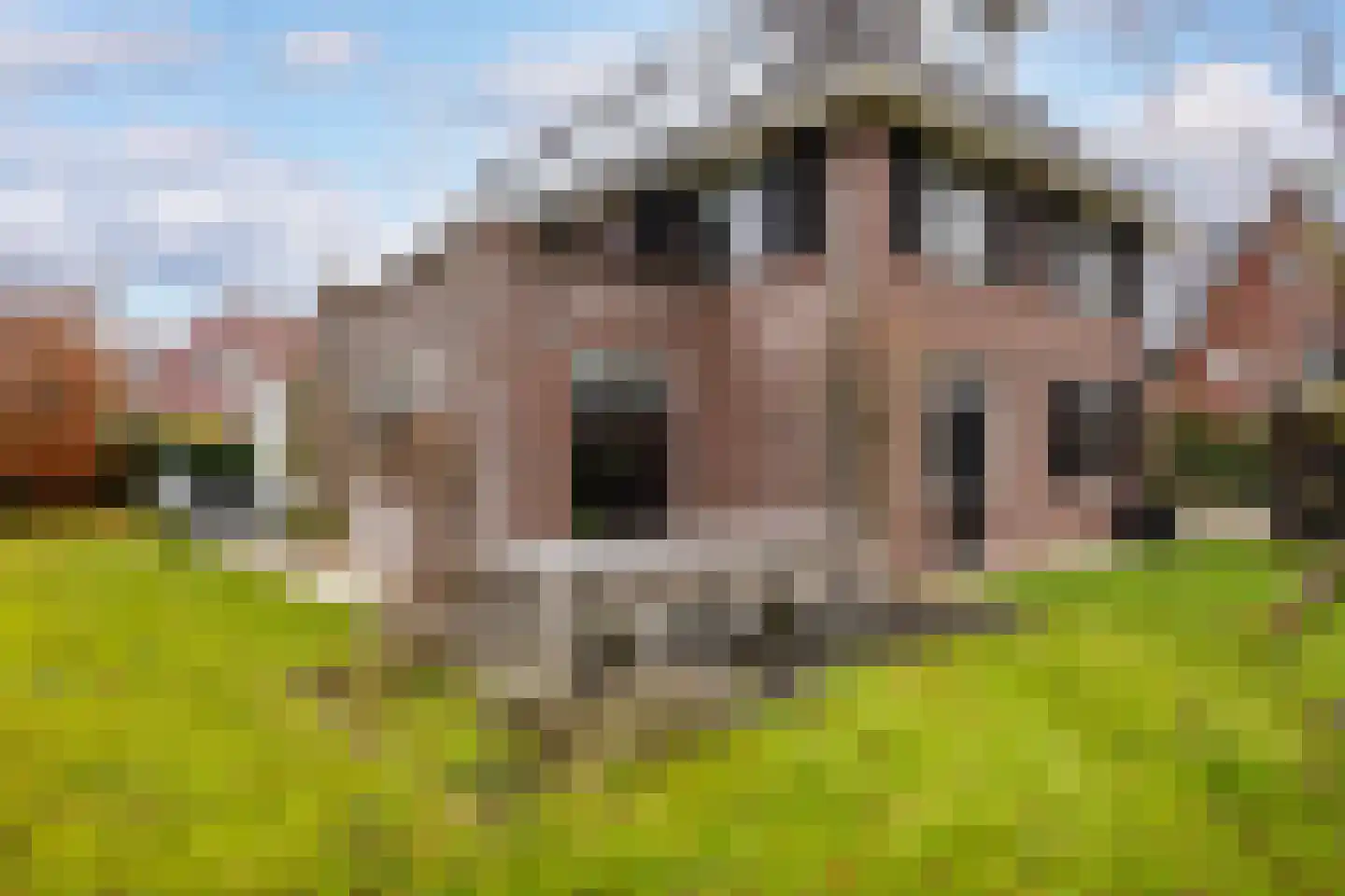 Bab van Garderenstraat 1 Leusden thumbnail 44