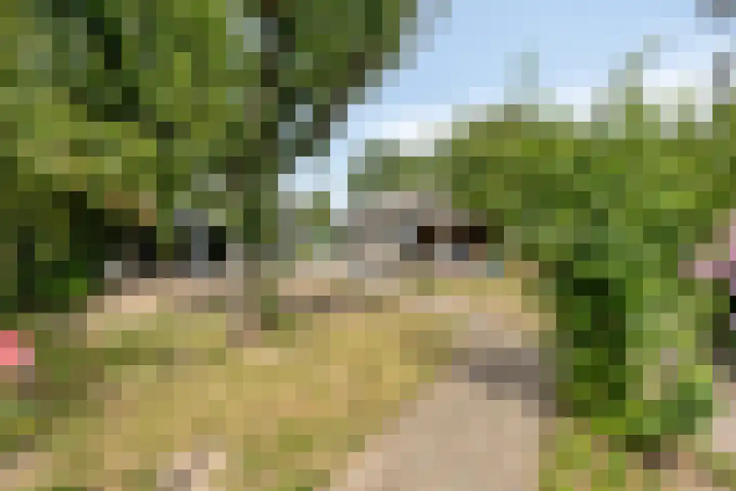Babberichseweg 110 Babberich thumbnail 38
