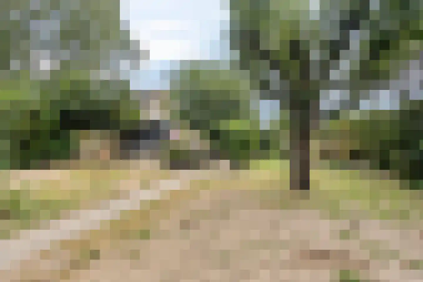 Babberichseweg 110 Babberich thumbnail 41
