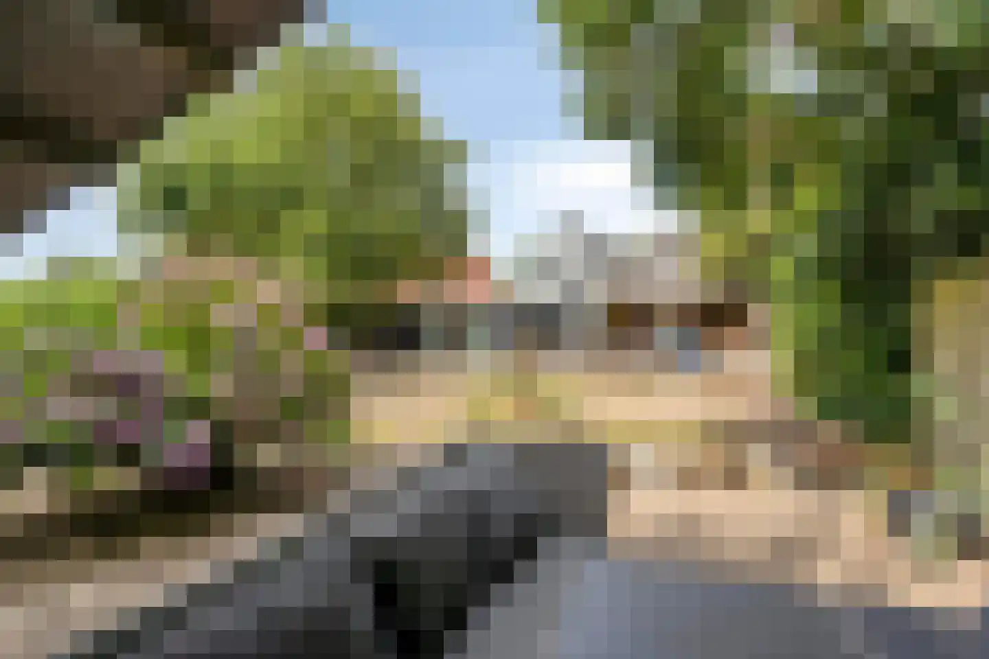 Babberichseweg 110 Babberich thumbnail 42