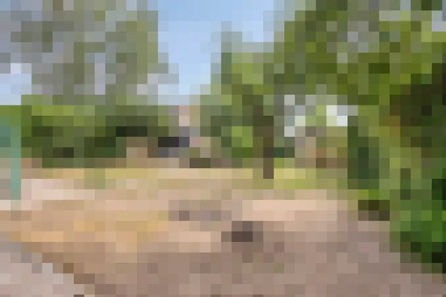 Babberichseweg 110 Babberich thumbnail 43