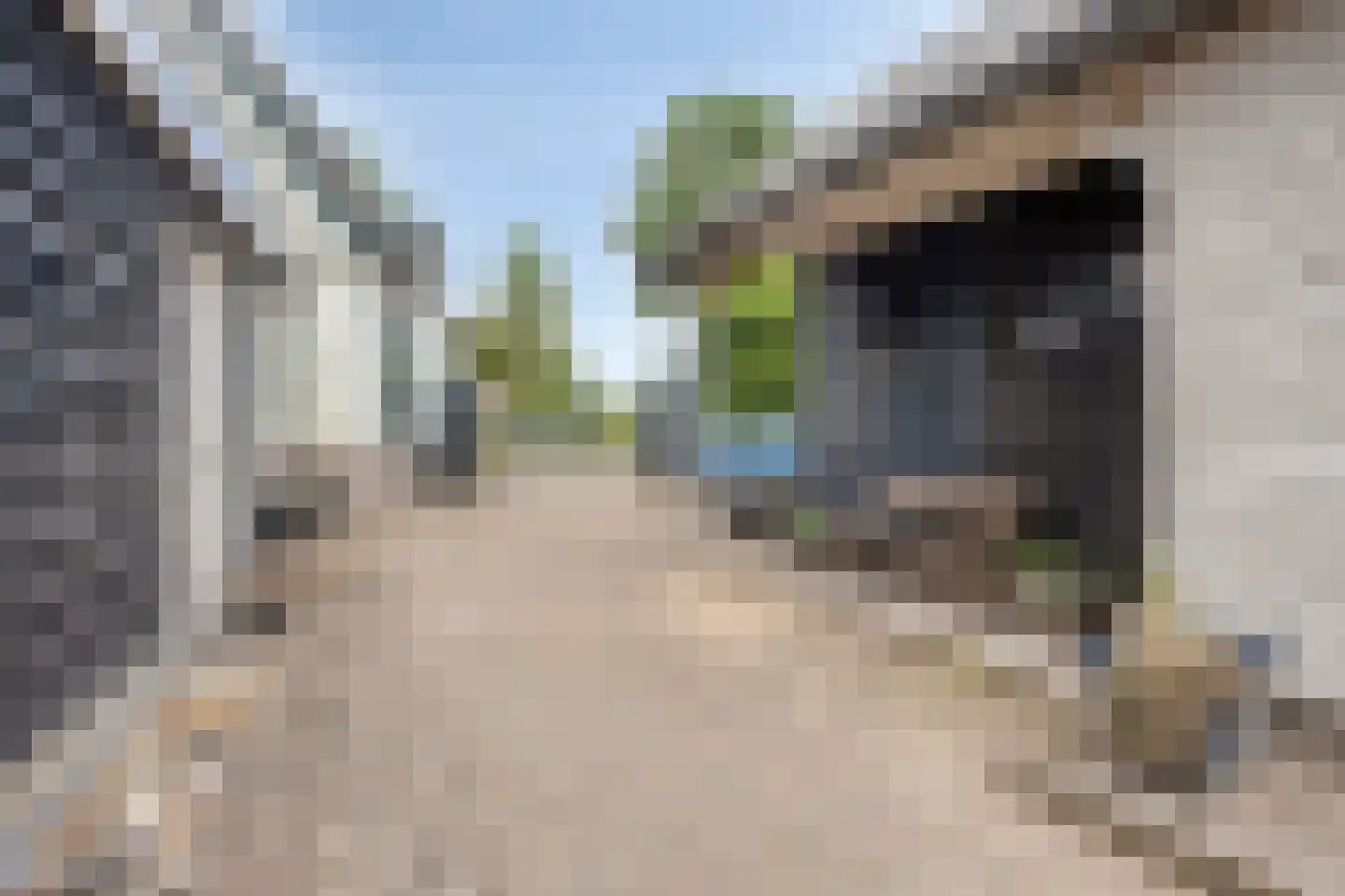 Babberichseweg 110 Babberich thumbnail 46