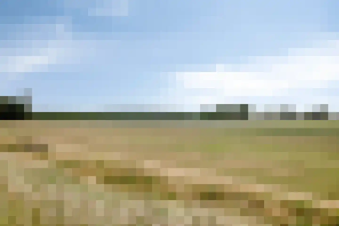 Babberichseweg 110 Babberich thumbnail 48
