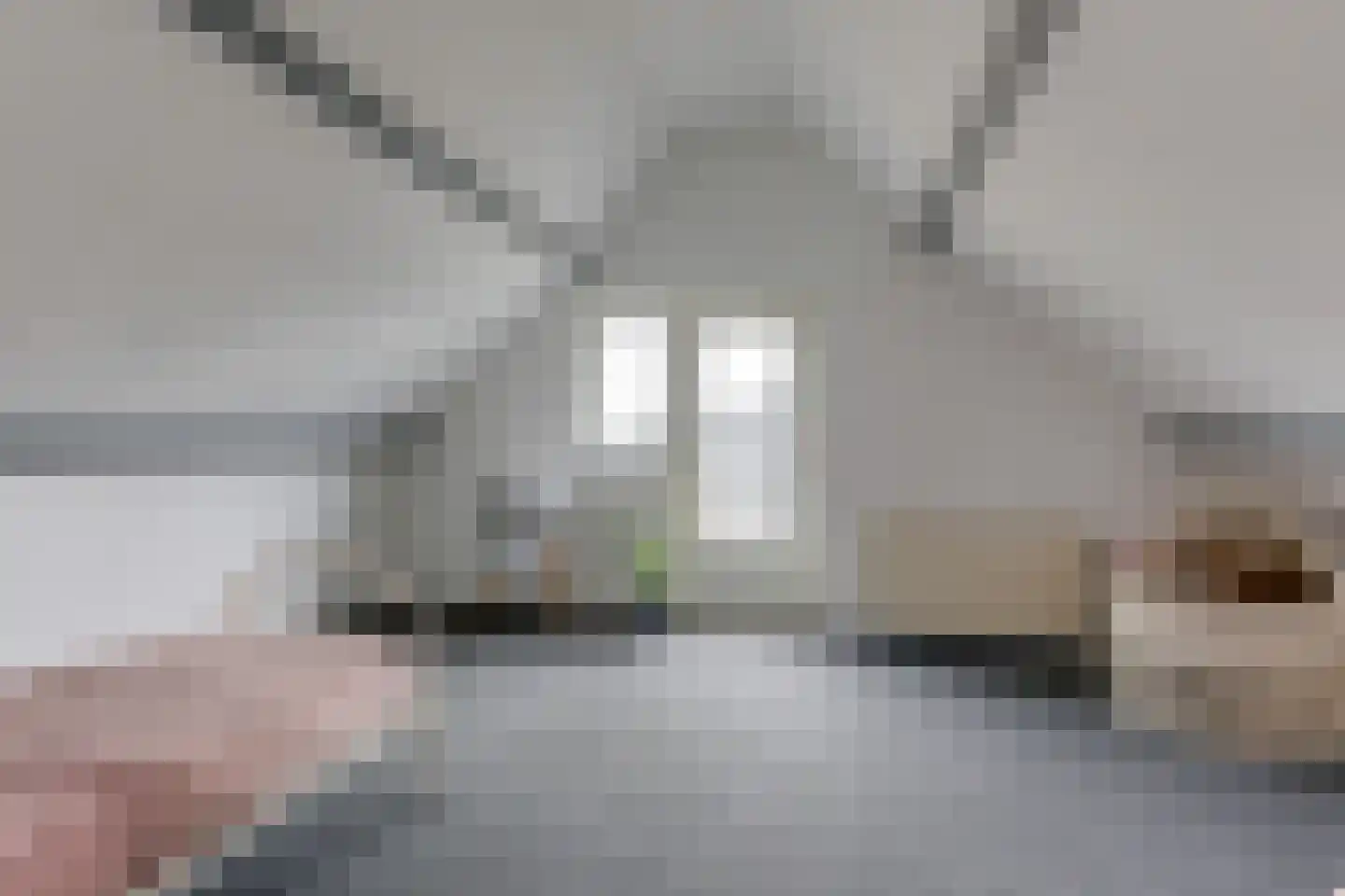 Babberichseweg 41 Zevenaar thumbnail 40