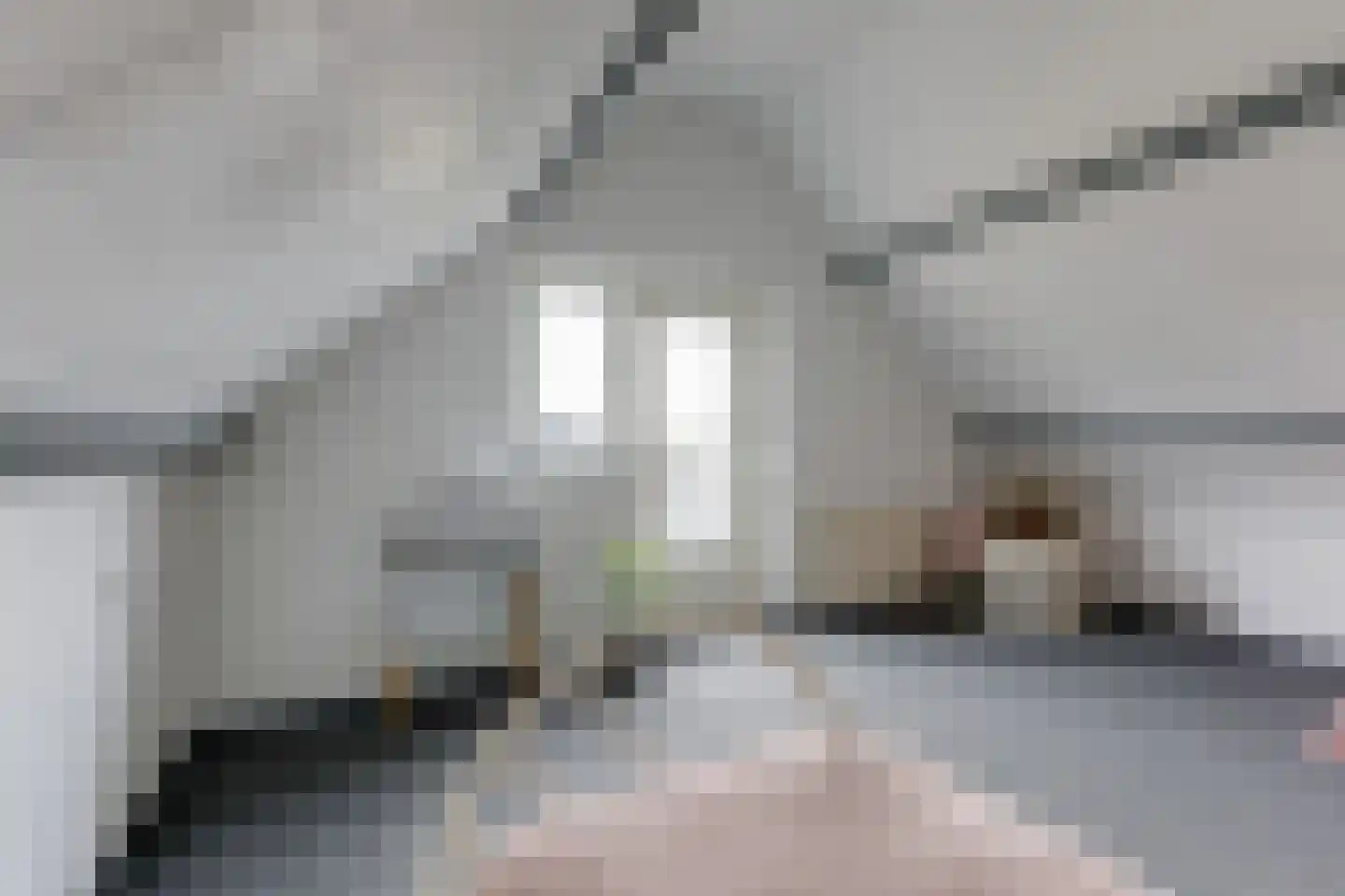 Babberichseweg 41 Zevenaar thumbnail 42