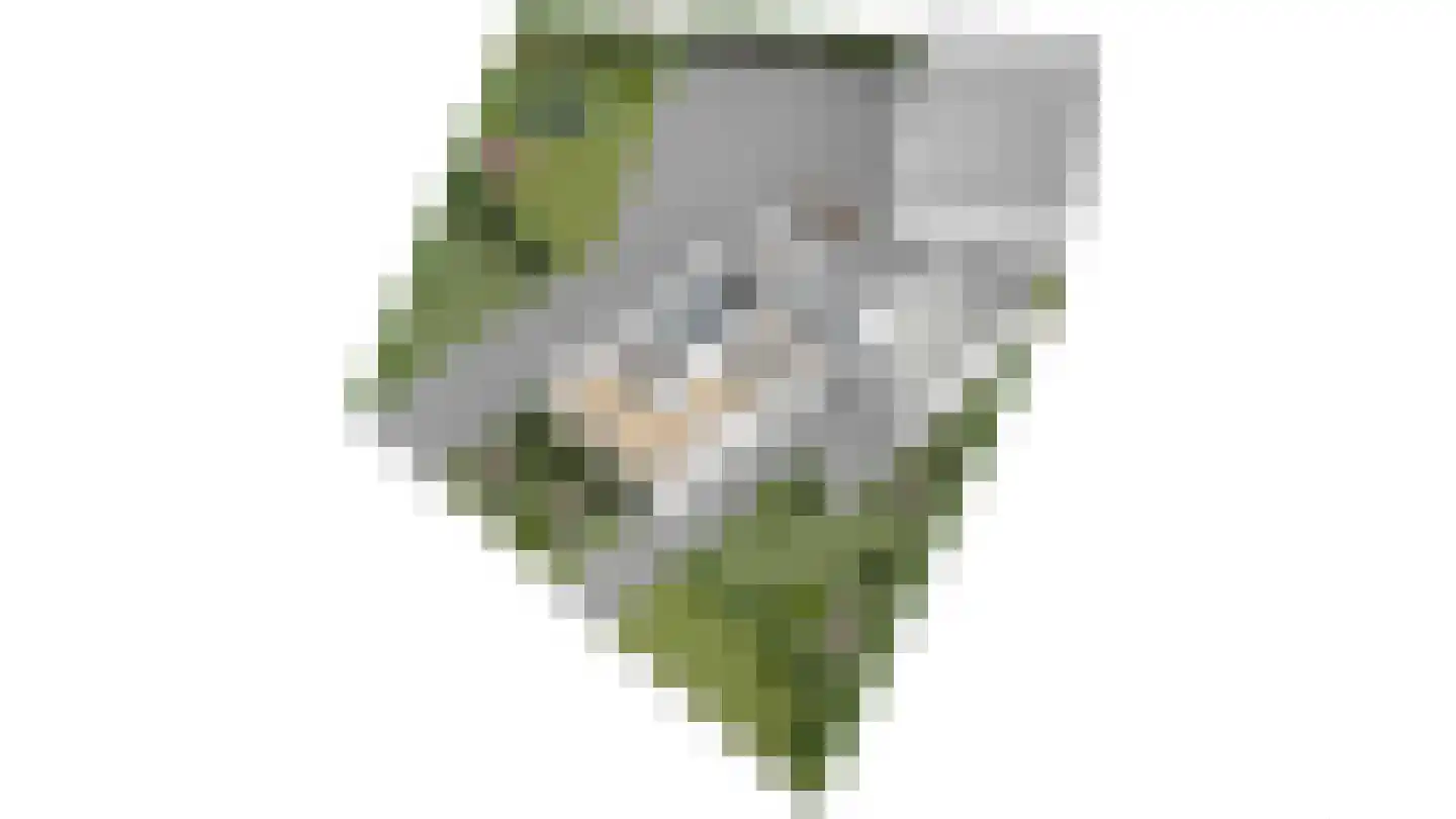 Babberichseweg 41 Zevenaar thumbnail 60