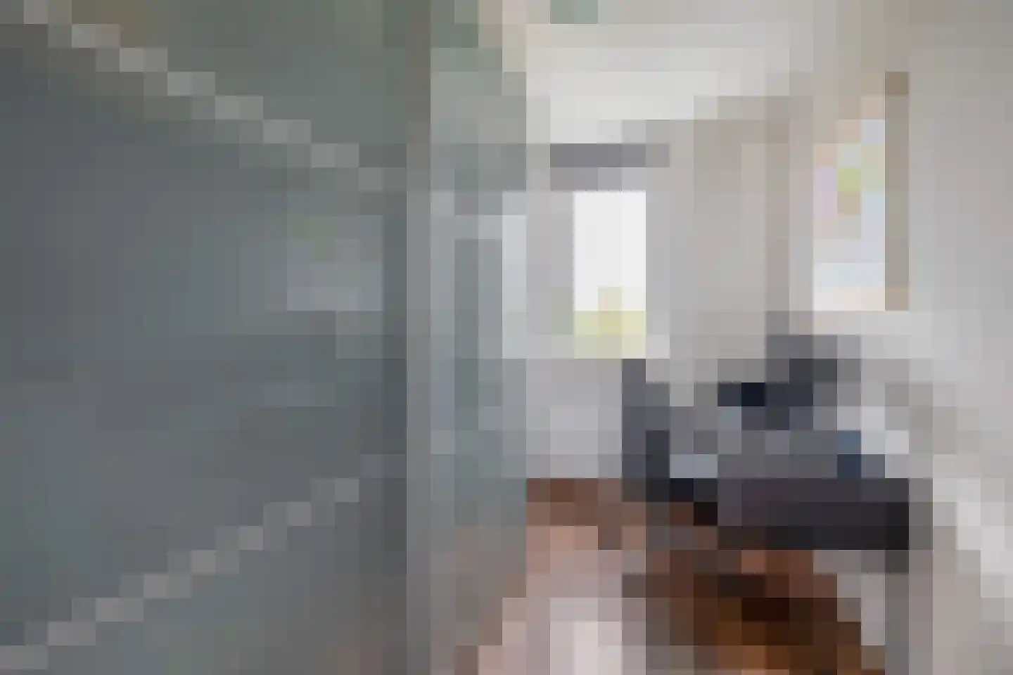 Babsloot 12 Boskoop thumbnail 16