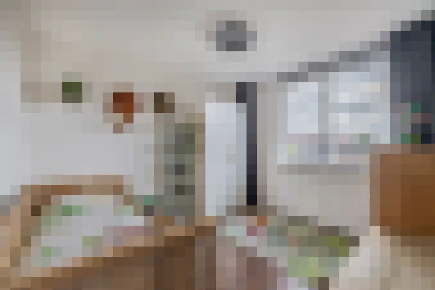 Babsloot 12 Boskoop thumbnail 17