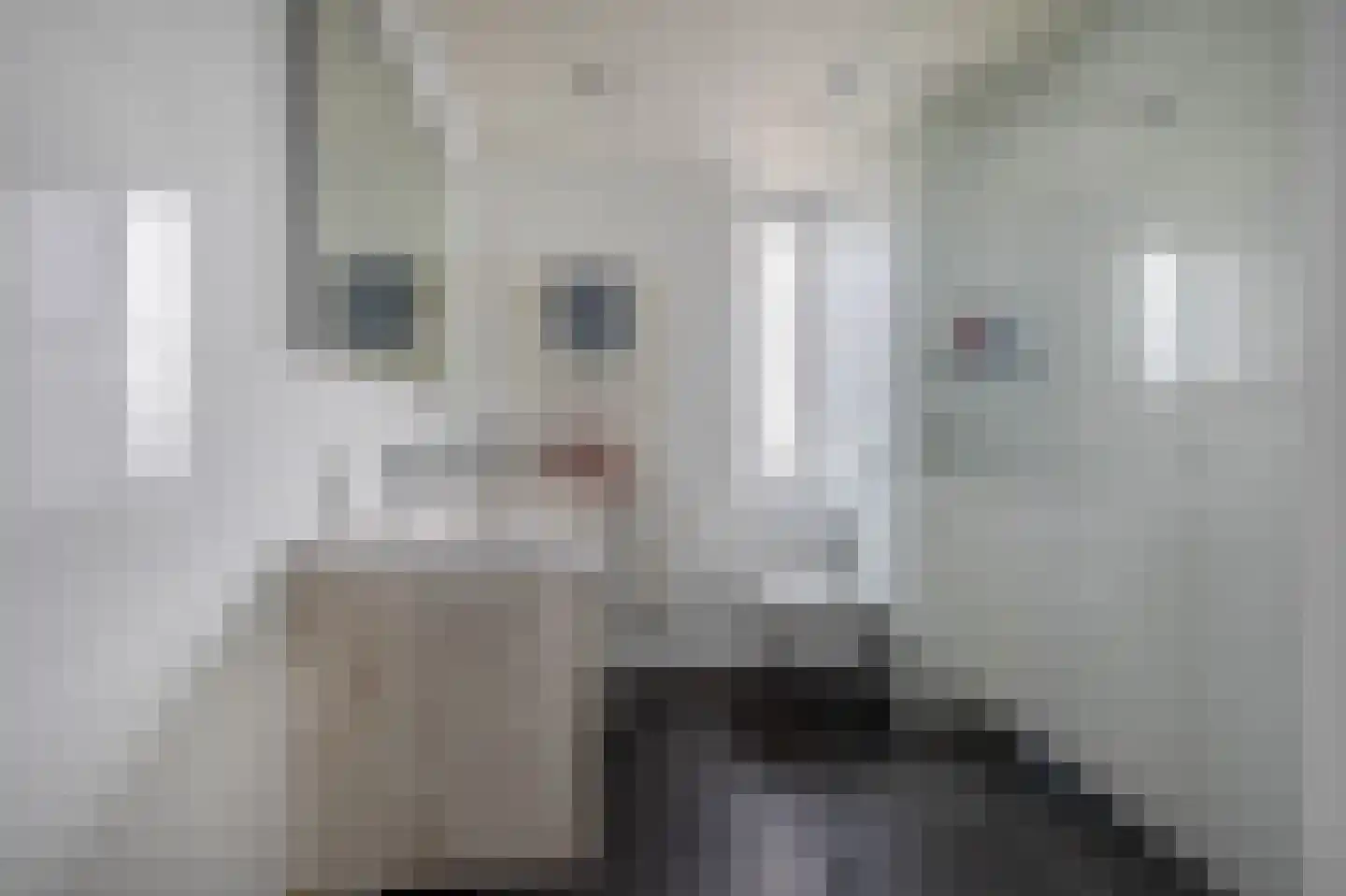 Babsloot 12 Boskoop thumbnail 18