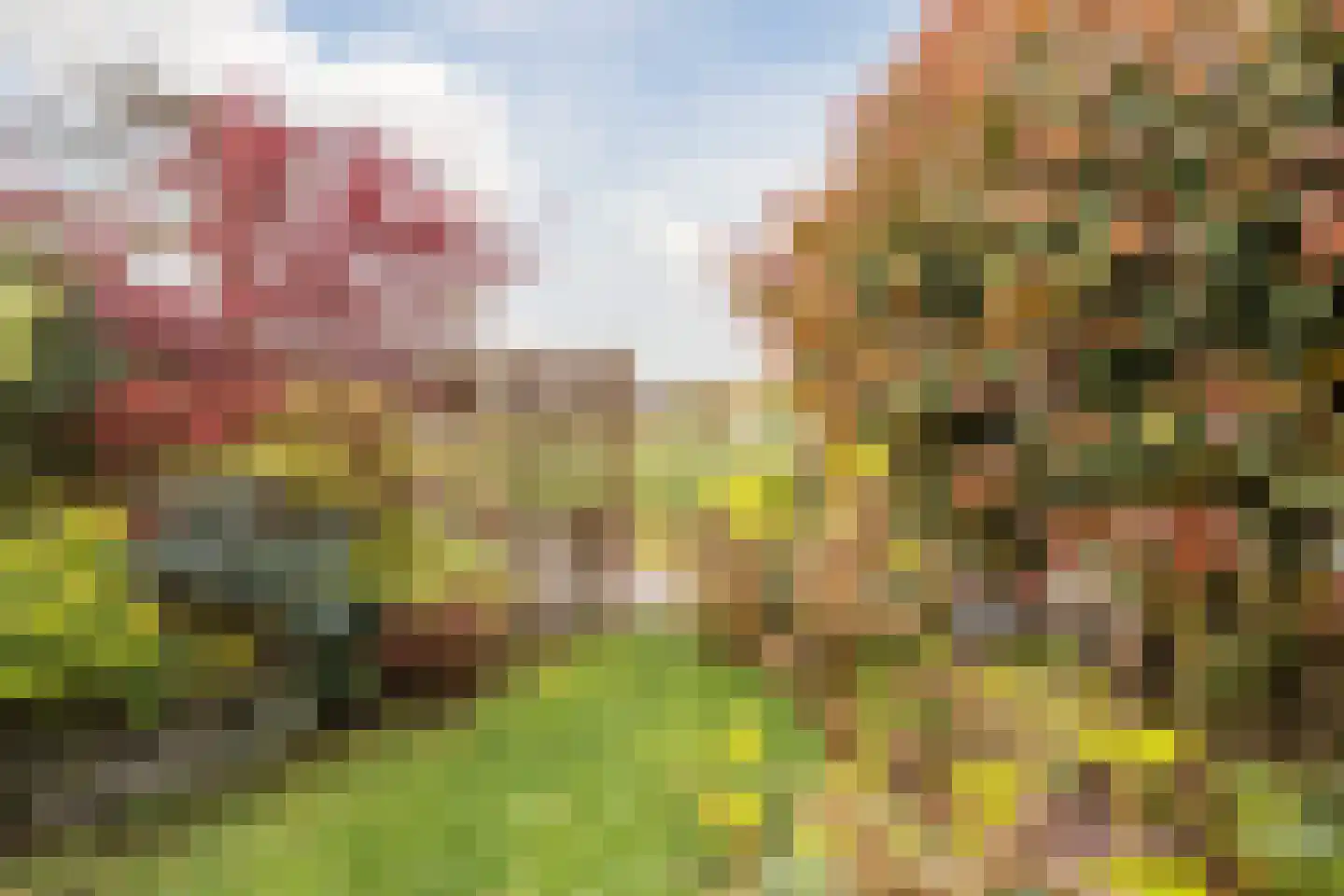 Babsloot 20 Boskoop thumbnail 40