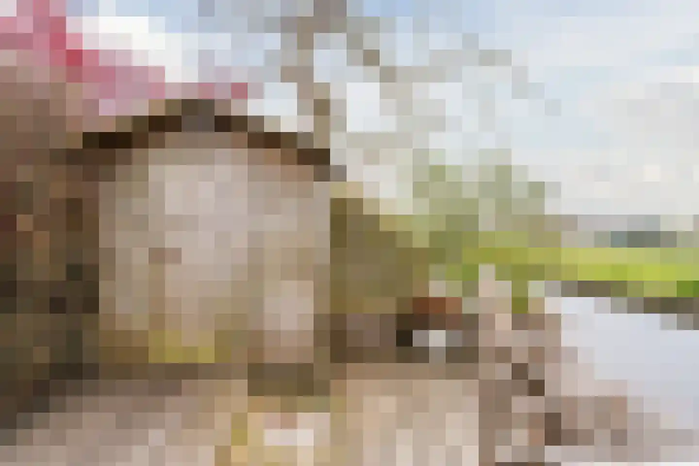 Babsloot 20 Boskoop thumbnail 47