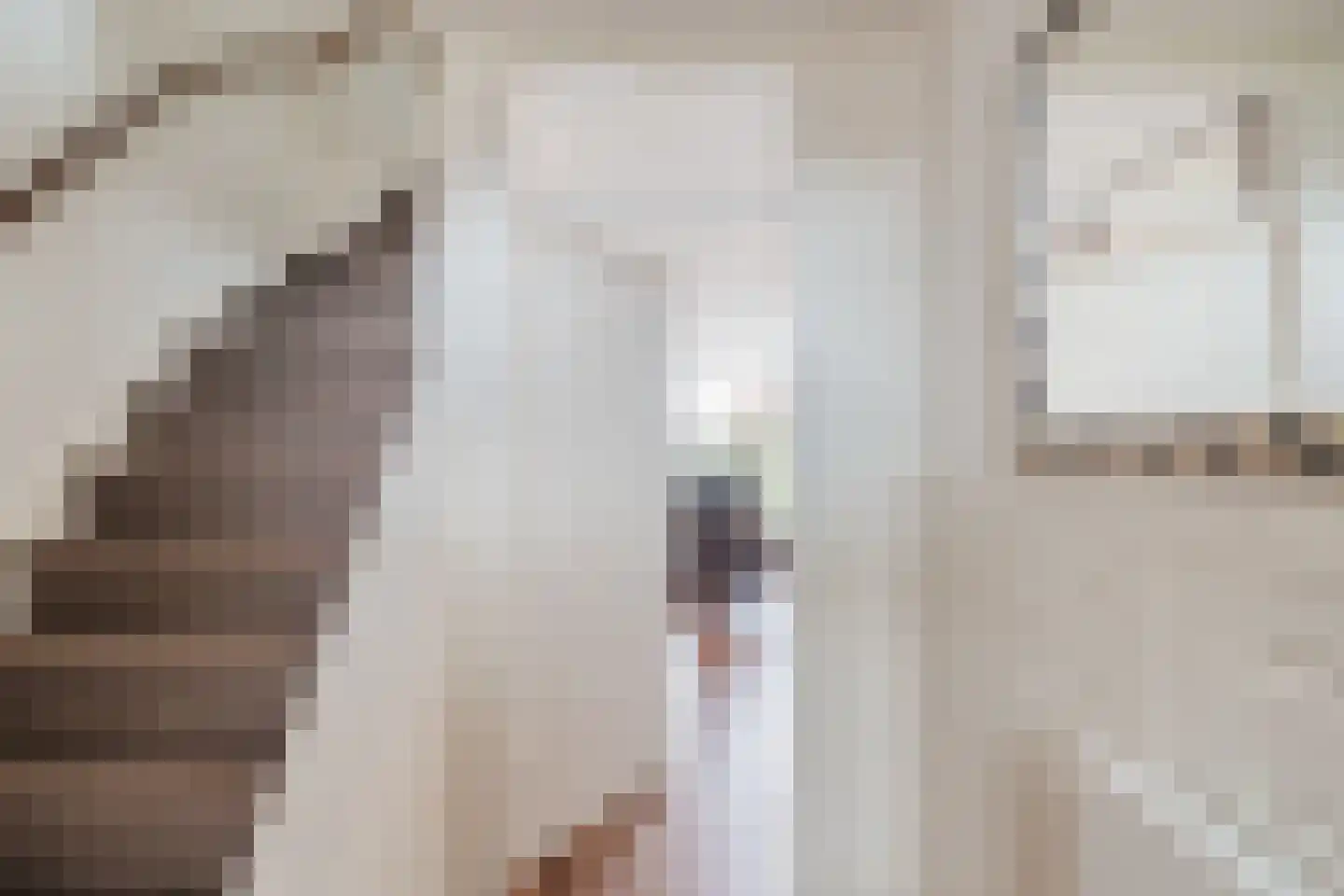 Babsloot 20 Boskoop thumbnail 6