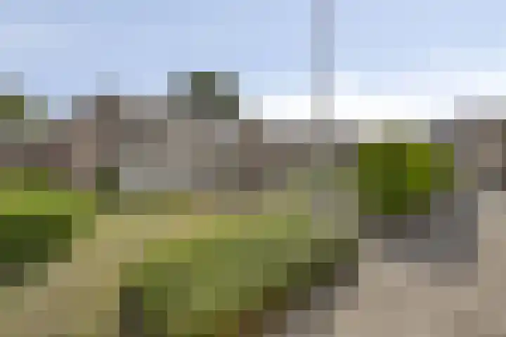 Babylonstraat 7 Heerlen thumbnail 21