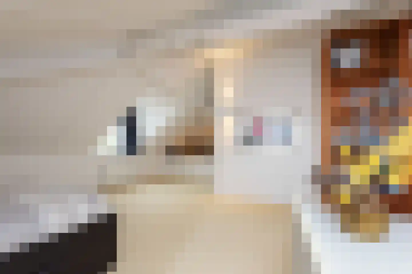 Baccarastraat 10 Aalsmeer thumbnail 20