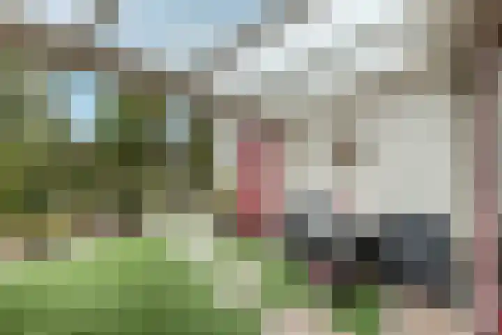 Baccarastraat 14 Aalsmeer thumbnail 14