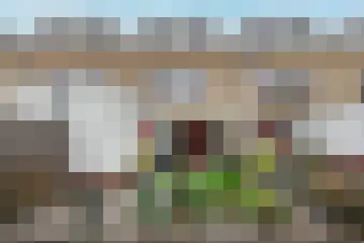 Baccarastraat 14 Aalsmeer thumbnail 17