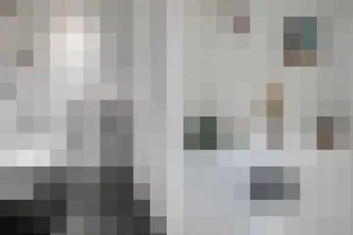 Baccarastraat 14 Aalsmeer thumbnail 21