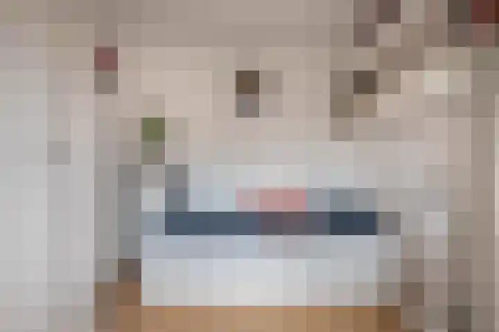 Baccarastraat 14 Aalsmeer thumbnail 32