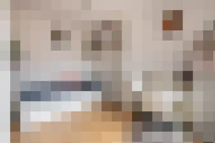Baccarastraat 14 Aalsmeer thumbnail 33