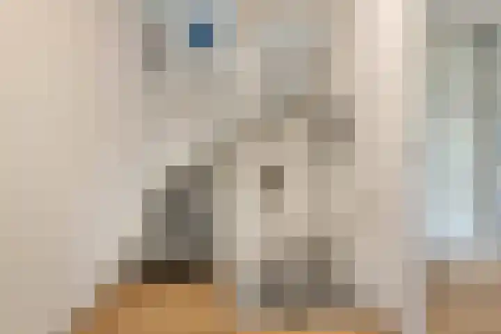 Baccarastraat 14 Aalsmeer thumbnail 34