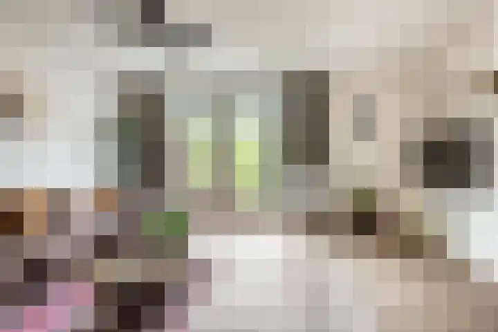 Baccarastraat 14 Aalsmeer thumbnail 4