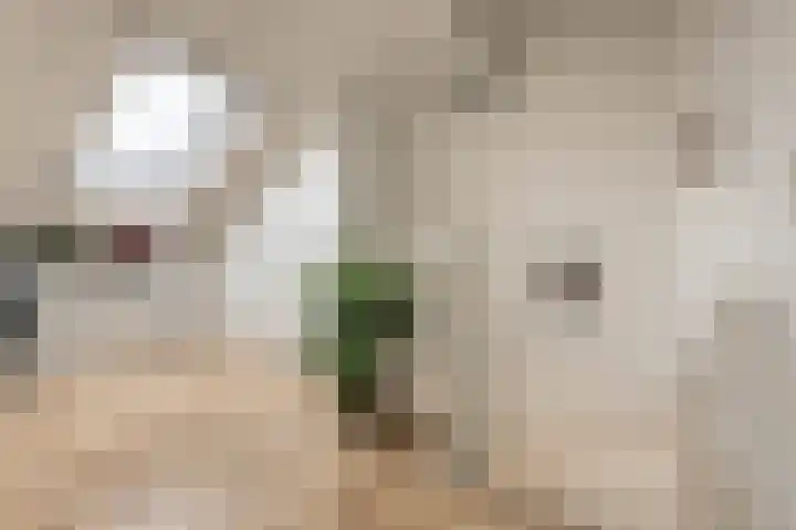 Baccarastraat 14 Aalsmeer thumbnail 40