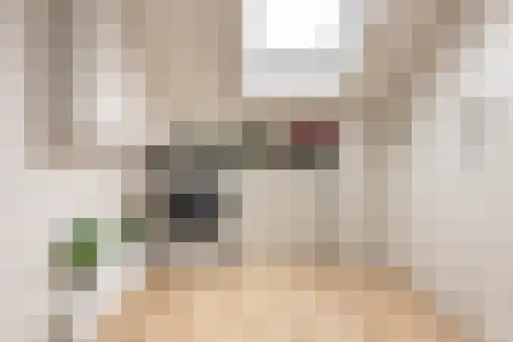 Baccarastraat 14 Aalsmeer thumbnail 41