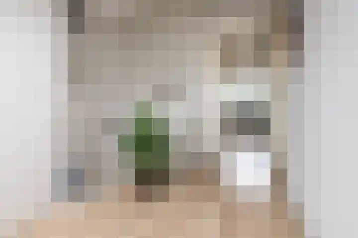 Baccarastraat 14 Aalsmeer thumbnail 42