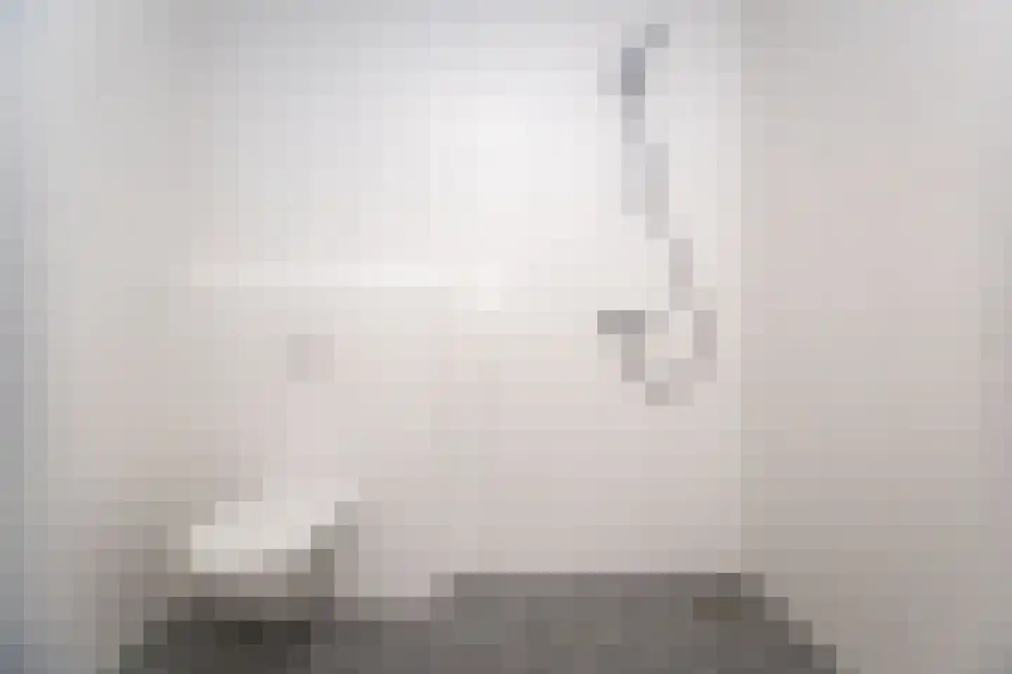 Baccarastraat 2 502 Zwaag thumbnail 37