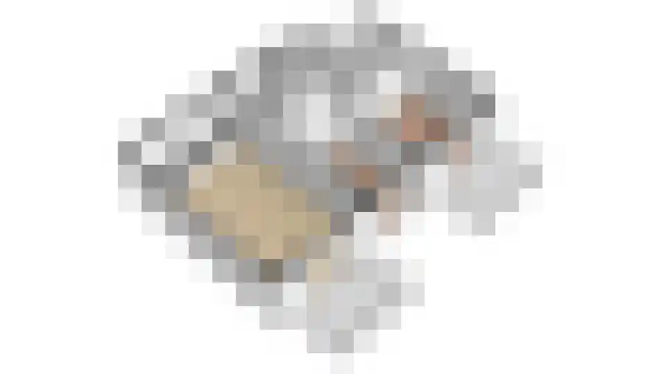 Baccarastraat 2 502 Zwaag thumbnail 48