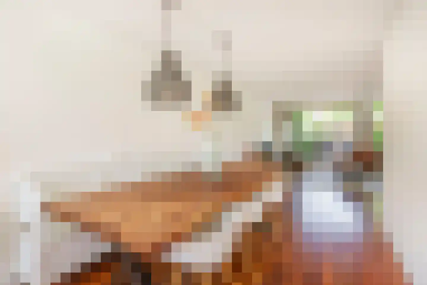 Bacchus 14 Wijk bij Duurstede thumbnail 14